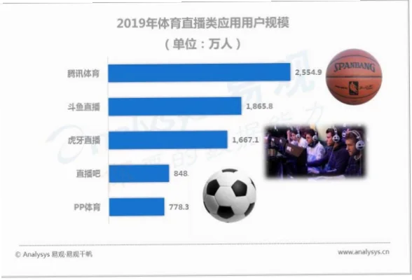 搜狐体育网：告别观赛痛点，一站式搞定赛事直播与数据