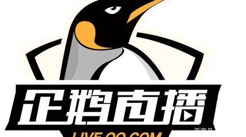 企鹅直播体育直播：从入门到精通，轻松畅享赛事乐趣